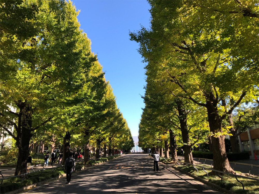 独文の大学院