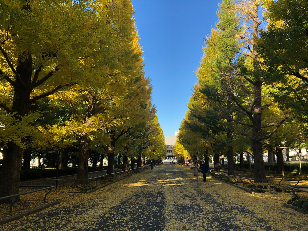 学生の声